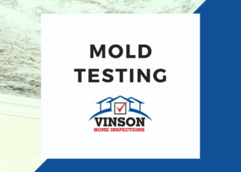 Vinson Home Inspection Services Mold Testing Vinson Home Inspection Services Mold Testing