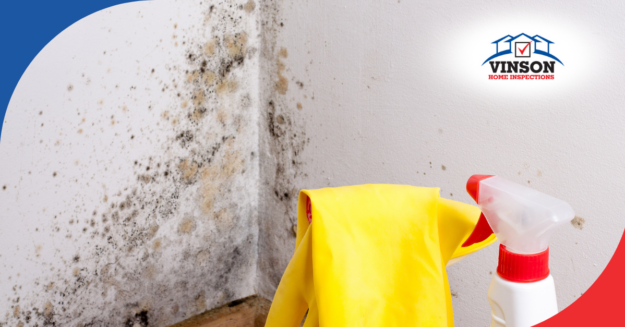Black and yellow mold growth in a corner with cleaning supplies ready for mold removal.