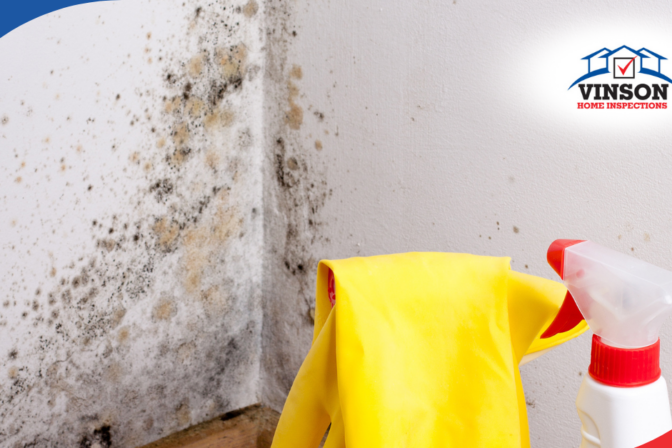 Black and yellow mold growth in a corner with cleaning supplies ready for mold removal.