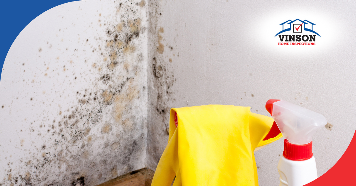 Vinson Home Inspections (17) Black and yellow mold growth in a corner with cleaning supplies ready for mold removal.