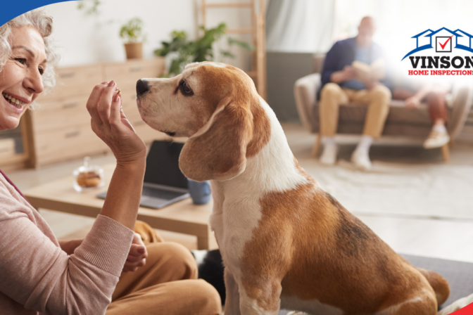 Vinson Home Inspections Smiling woman offering a treat to a beagle indoors.